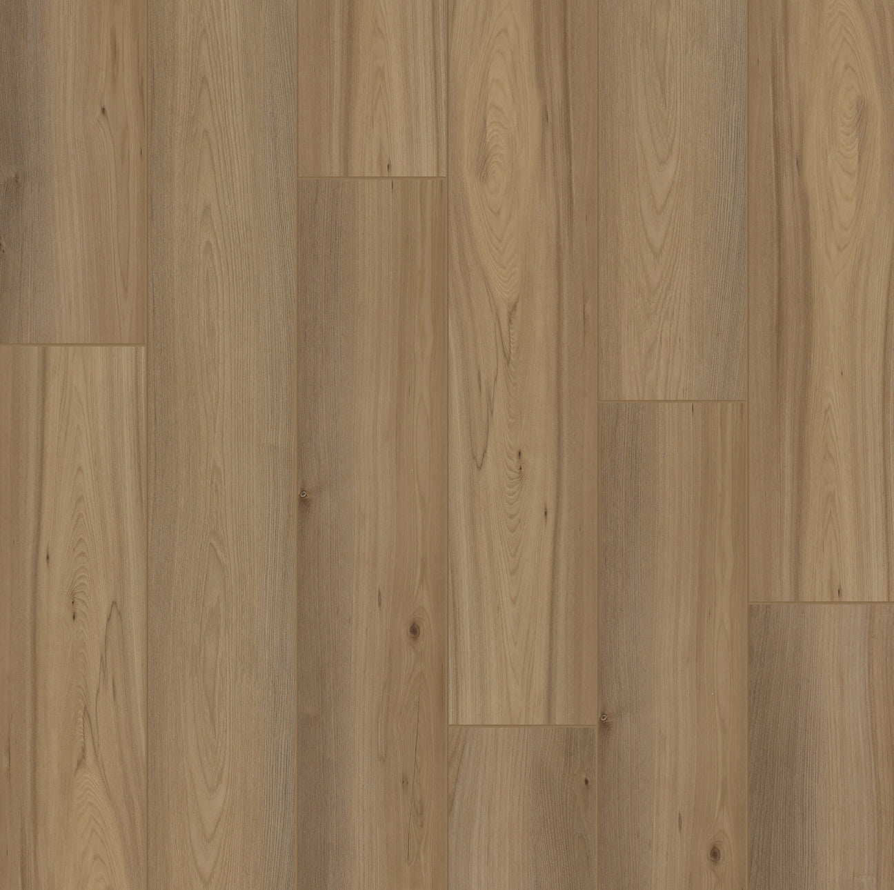 HIGHLAND OAK