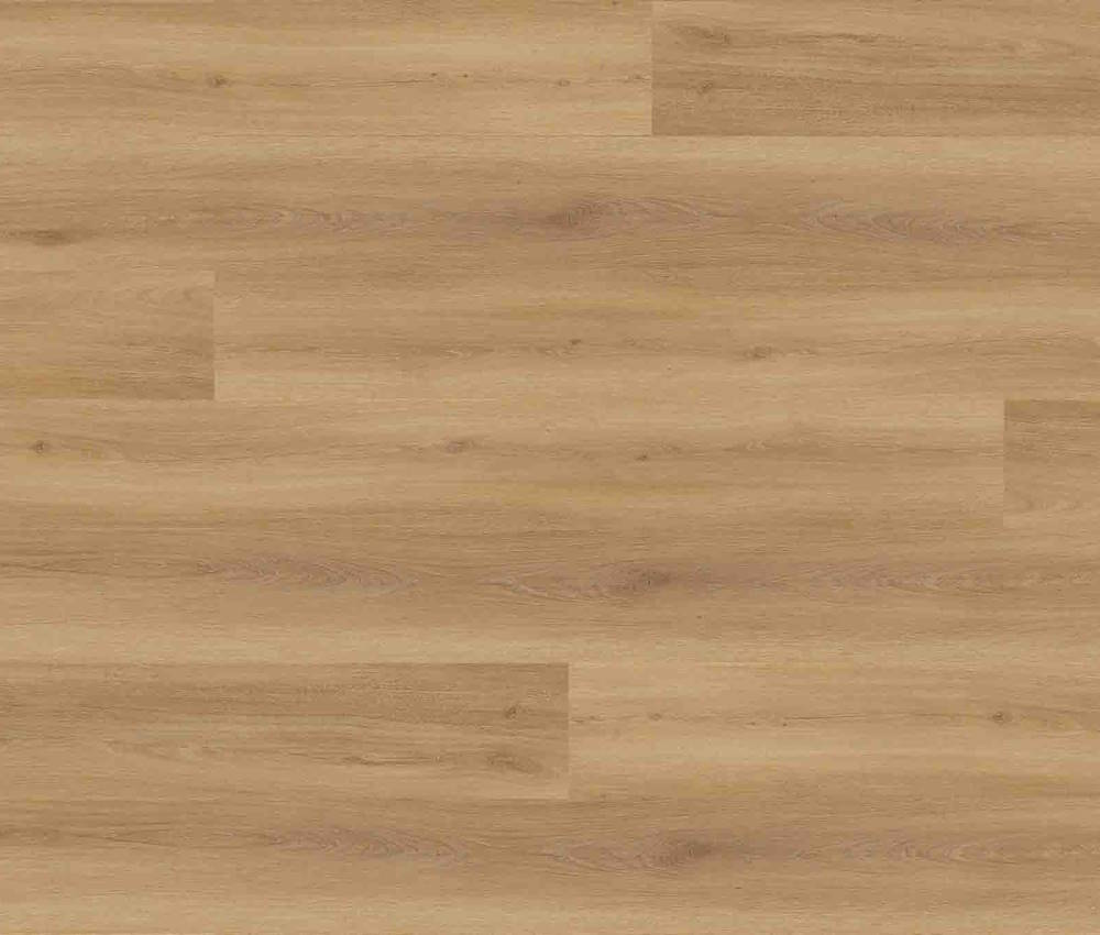 Macaroon VersaCore Pure Edge